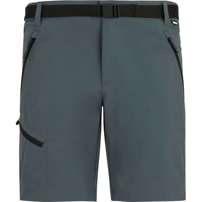 Regatta Xert Stretch Shorts šedá