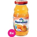 Hamánek S marhuľami nápoj 210 ml