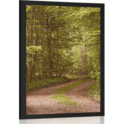 Plakát zelený les - 20x30 black