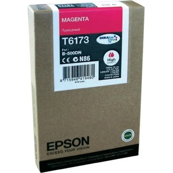 Epson T6173