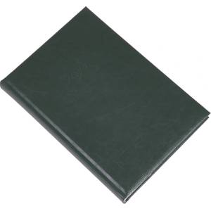 Realsystem Дневник за срокове REALSYSTEM Standard B/5, ежедневен, с бели листа, зелен, 2027 5621-08 (5621-08)