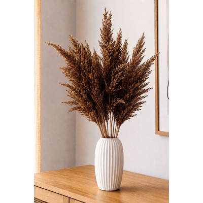Sušená pampová tráva (pampas) hnědá 10ks, 50-60cm