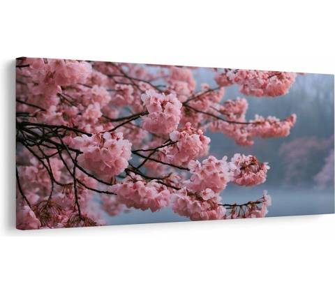 Obraz rozkvitnutá sakura