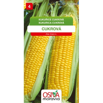 Kukuřice cukrová Seva Seed 7 g