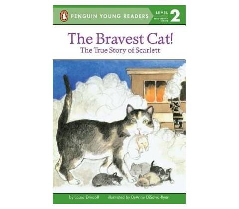 The Bravest Cat!