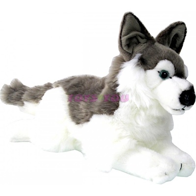 pes Husky 34 cm
