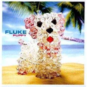 Fluke - Puppy (2 LP) (5016958056117)