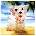 Fluke - Puppy (2 LP) (5016958056117)