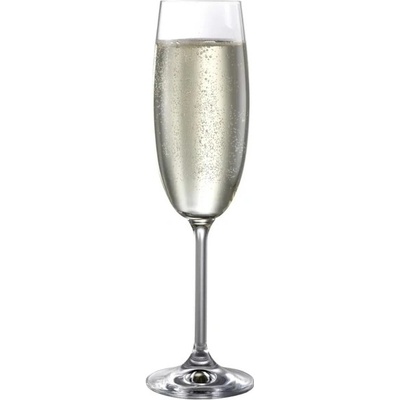 Bohemia Crystal Sklenice na šampaňské Natalie poničená krabice 6 x 190 ml