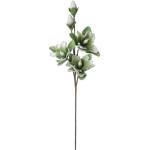 Bizzotto ИЗКУСТВЕНО ЦВЕТЕ magnolia 95cm ЗЕЛЕНО (0172599)