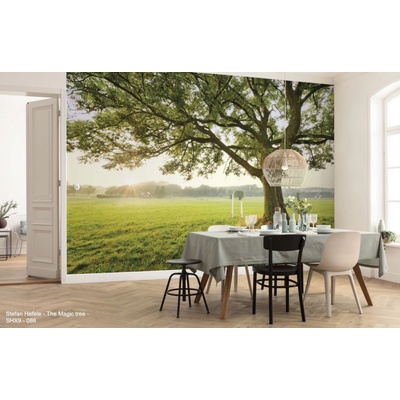 Komar Vliesová fototapeta The Magic Tree 450 x 280 cm