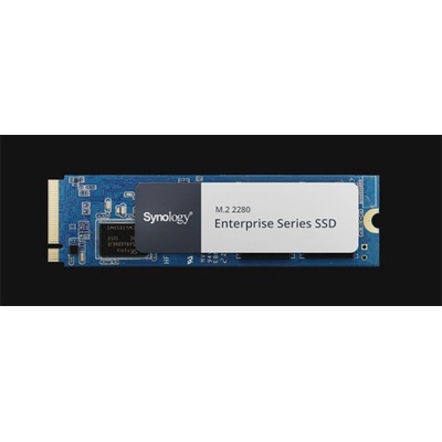 Synology Enterprise 800GB (SNV5420-800G)