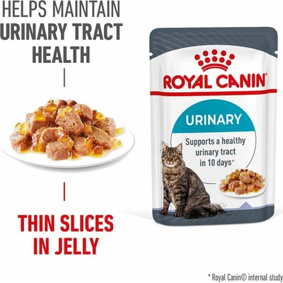 Royal Canin FCN Urinary Care v želé 12 x 85 g