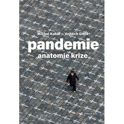 Pandemie: anatomie krize