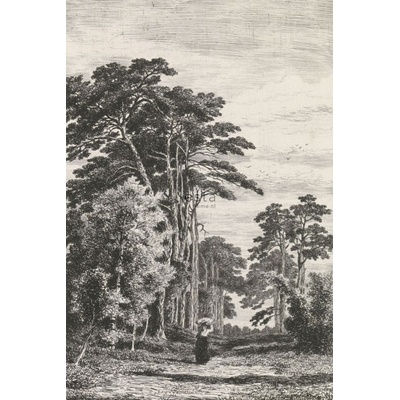 Esta Home 158886 Vliesová fotoapeta Rytina borovicového lesa Blush rozmery 186 x 279 cm