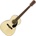 Fender P-60S Parlor NAT