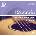 D'Addario EJ26-10P