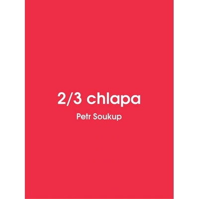 2/3 chlapa - Petr Soukup
