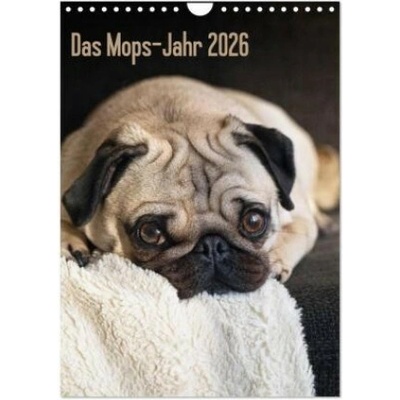 Das Mops-Jahr Wand DIN A4 hoch, CALVENDO Monats 2026