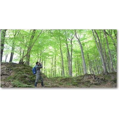 Fotoobraz na skle Ornitológ v lese 100x50 cm