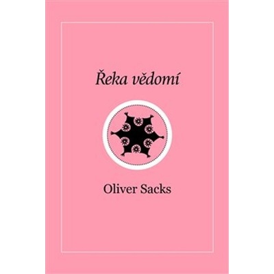 Řeka vědomí