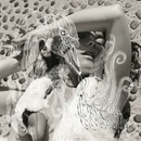 Vespertine - Bjork CD