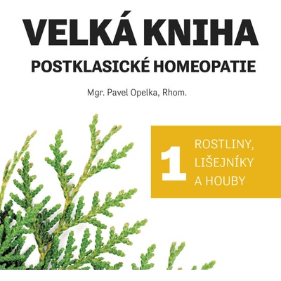 Velká kniha postklasické homeopatie