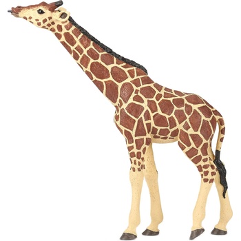 Image 1 of Papo Фигурка Papo Wild Animal Kingdom - Жираф с вдигната глава (50236)