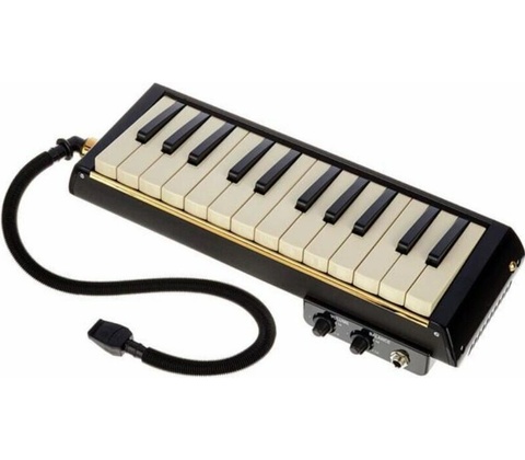 Hammond PRO-24B