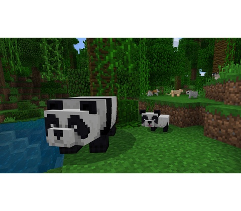 Minecraft Starter Collection