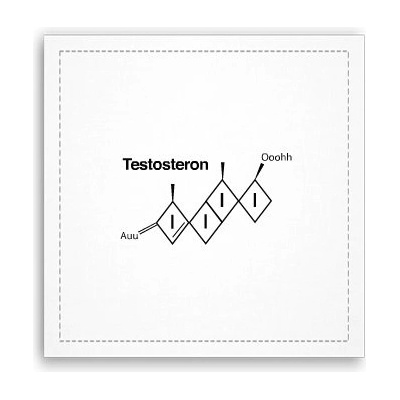Fotoobraz 40x40 cm Testosteron