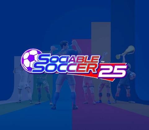 Sociable Soccer 25
