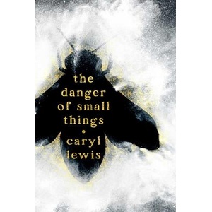 The Danger of Small Things | LEWIS CARYL (ISBN: 9781665977517)