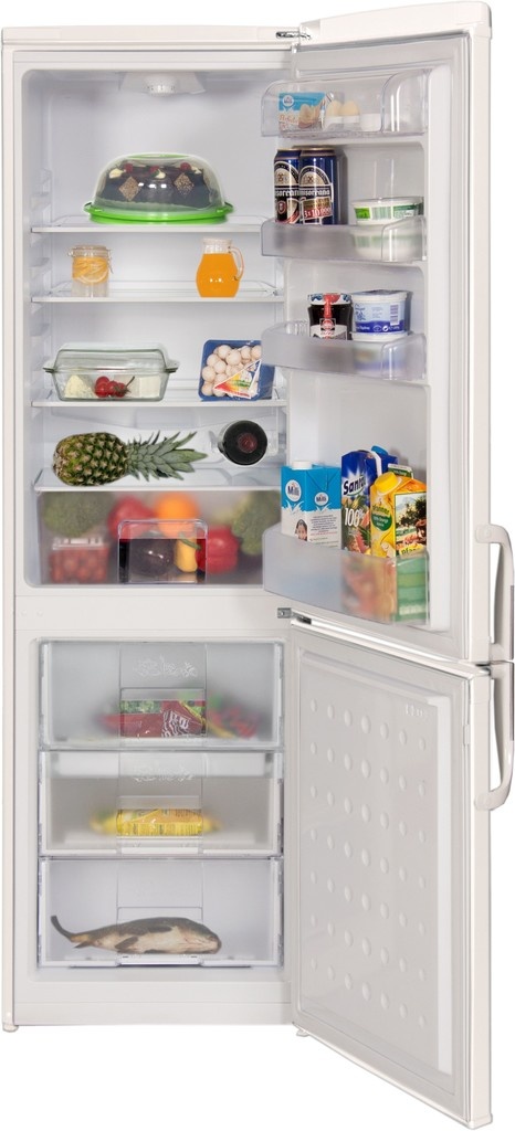 Beko CSA 29022