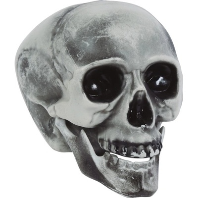Fiestas Guirca Декорация Череп 20 см