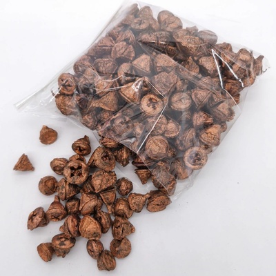Eucalyptus pod 500 gramů - měděná - SU1123