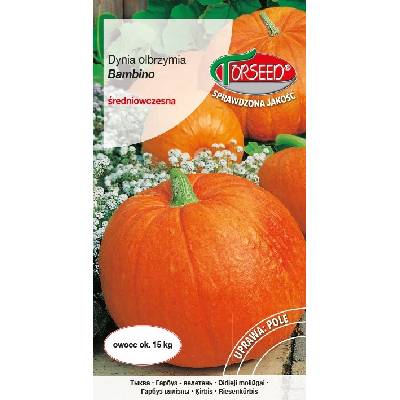 Dýnia obrovská Bambino semená