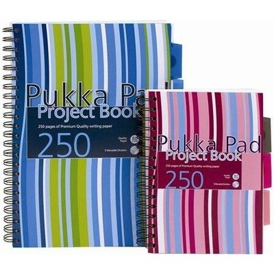 PUKKA PAD Sešit se spirálovou vazbou formát A4 linkovaný Stripe project book