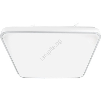 MILAGRO Fabio ML7934