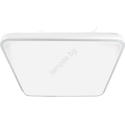 MILAGRO Fabio ML7934