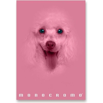 PIGNA Monocromo Pink zošit A4 linajkový rôzne motívy