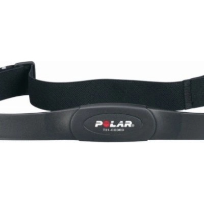Polar T31C