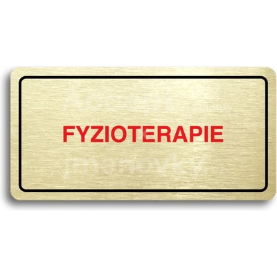 ACCEPT Piktogram FYZIOTERAPIE - zlatá tabulka - barevný tisk