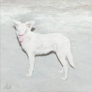 Ão - Malandra (Digipak) (CD) (5430002558653)