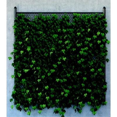 AG Design FTNXL-2542 vliesová fototapeta Zelené listy rozměry 180 x 202 cm