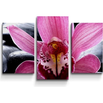 Sablio Obraz - 3-dílný Ružová orchidea - 75x50 cm