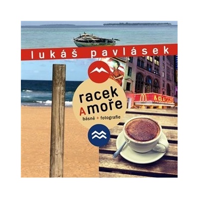 Racek a moře