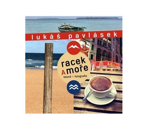 Racek a moře
