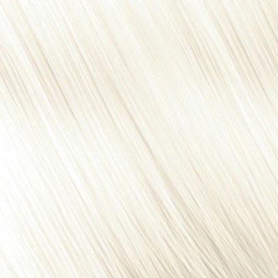 Nouvelle Barva na vlasy 12.013 ultra světlá béžová blond