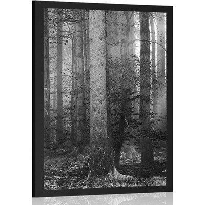 Plakát tajemství lesa v černobílém provedení - 20x30 silver